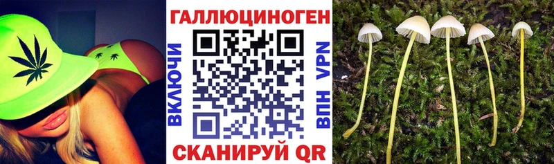как найти наркотики MEGA зеркало Псилоцибиновые грибы Psilocybe Рудня